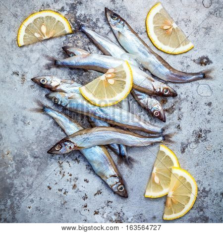 Fresh Catch Shishamo Fish Fully Eggs Flat Lay On Shabby Metal Background. Shishamo Fish Is Popular F