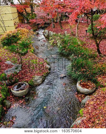 Landscape Of Japanese Garden At Autumn