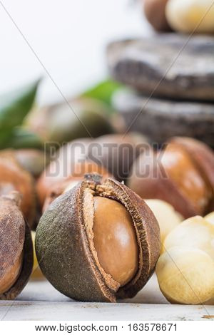 Macadamia nuts in shell harvest close up