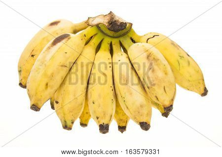 Big Bundle Banana
