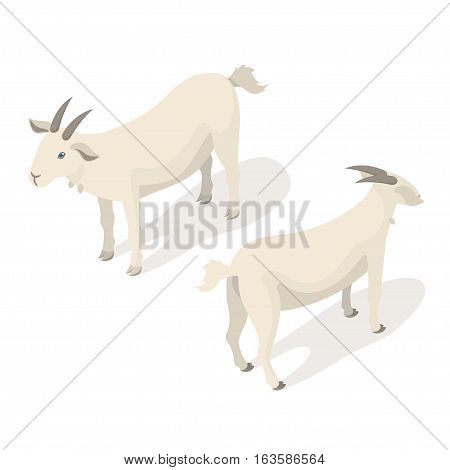 Isometric 3d vector illustration of white goat. Back and front view. Icon for web. Isolated on white background.