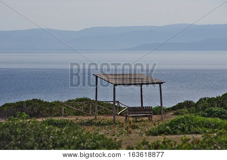 Canopy On The Top Of San Domino, In The Tremiti Islands
