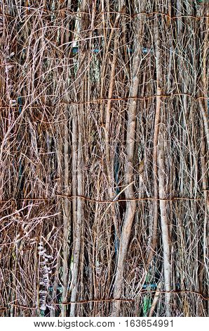 surface of wattle woven and joined to form a wall or a paving
