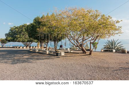 Park In The Franciscan Monastery In Capernaum