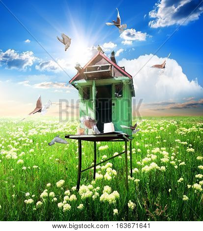 Doves over dovecote in sunny spring day