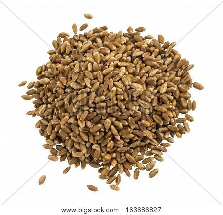 Heap Or Pile Of Dry Wheat Grains Isolated