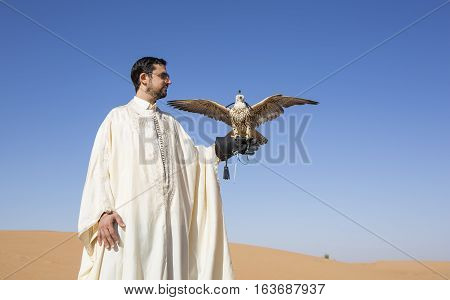 Dubai, UAE, December 3rd, 2016: Tunisian man with a seaker falcon in a desert at sunrise