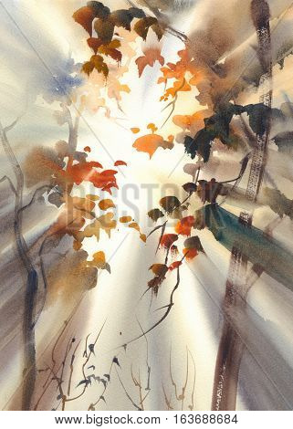 Sunny forest with trees and sun rays. Abstract nature background. Autumn landscape