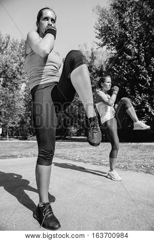 Females Doing Front Kicks