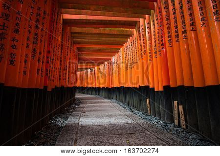 Thousands of torii gates at Fushimi Inari Shrine in Kyoto Japan