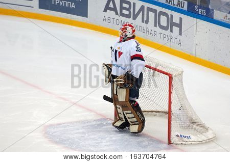 Goaltender Barry Brust (33)
