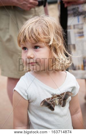 portrait of three years old blonde pretty child looking with beautiful tropical moth butterfly named Samia Ricini or Cynthia from Saturniidae family on her shirt