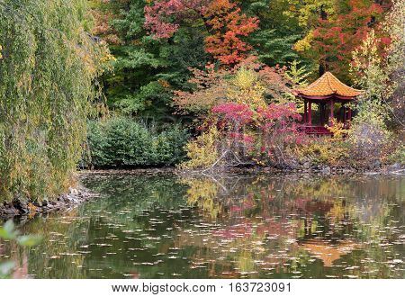 On the grounds of the Chuang Yen Monastery in Putnam County NY.