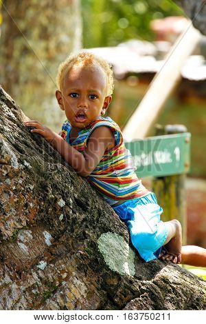 Lavena, Fiji - November 27: Unidentified Boy Sits On A Plam Tree On November 27, 2013 In Lavena Vill