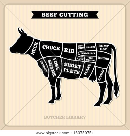 Beef, cow cuts butcher vector diagram. Placard with section cow, illustration of cow meat