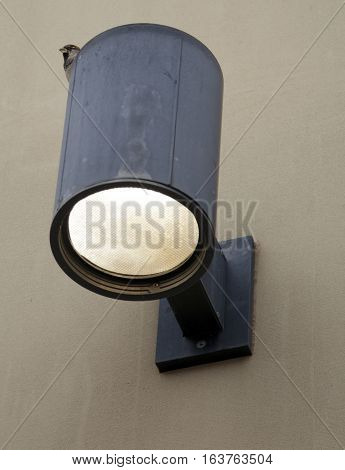 Northern mockingbird (Mimus polyglottos) on a light