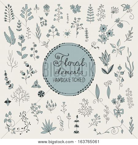Hand Drawn vintage floral elements. Set of flowers. Decorative elements