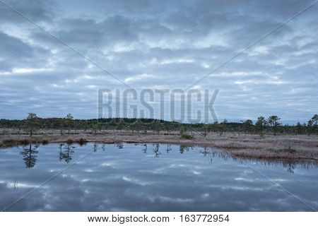 Sunrise in the bog. Icy cold marsh. Frosty ground. Swamp lake and nature. Freeze temperatures in moor. Muskeg natural environment. Beautiful trees sky and cloud reflection in water in the fen.