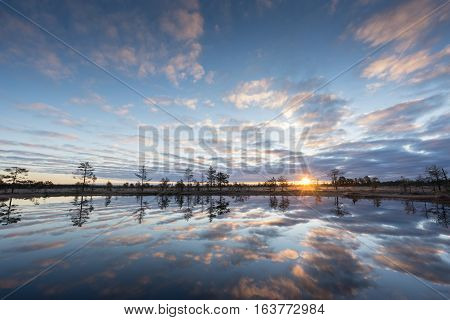 Sunrise in the bog. Icy cold marsh. Frosty ground. Swamp lake and nature. Freeze temperatures in moor. Muskeg natural environment. Beautiful trees sky and cloud reflection in water in the fen.