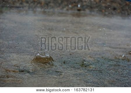 The rain drops falling on the water.