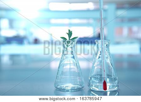 thermometer in glass flask with plant in science laboratory background