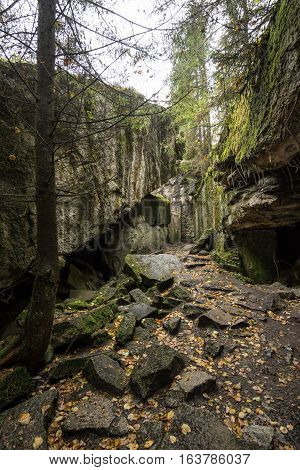 Wolf's Lair Adolf Hitler's Bunker in Poland. First Eastern Front military headquarters in World War II. Complex was blown up and abandoned on 1945. Autumn chaparral grown ruins trees leaves.