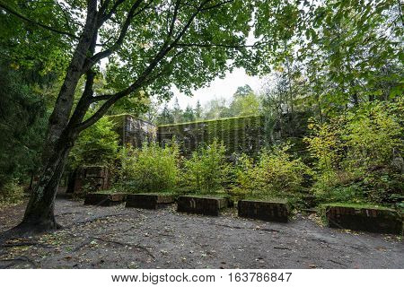Wolf's Lair Adolf Hitler's Bunker in Poland. First Eastern Front military headquarters in World War II. Complex was blown up and abandoned on 1945. Autumn chaparral grown ruins trees leaves.