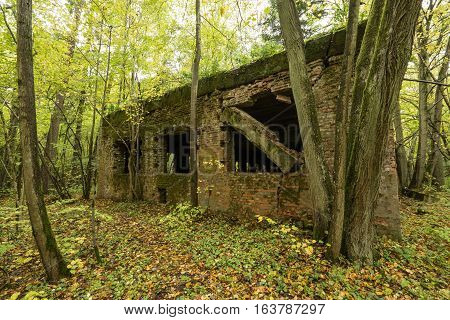 Wolf's Lair Adolf Hitler's Bunker in Poland. First Eastern Front military headquarters in World War II. Complex was blown up and abandoned on 1945. Autumn chaparral grown ruins trees leaves.