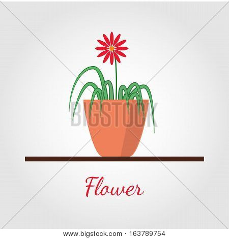 Houseplant standing on table vector icon. Illustration in flat design, isolated on modern stylish color background. Natural plant with green leaves.