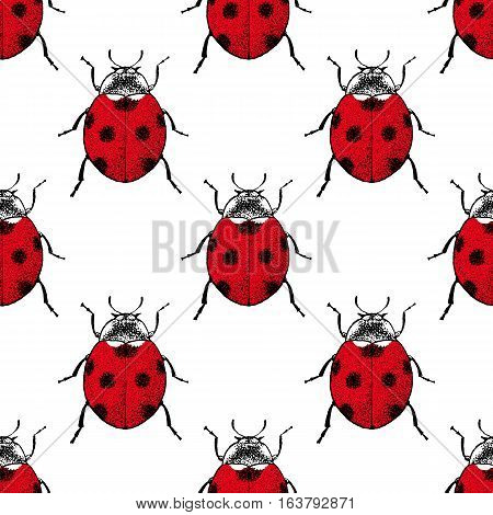 Ladybugs seamless pattern. Vintage hand drawn insects.