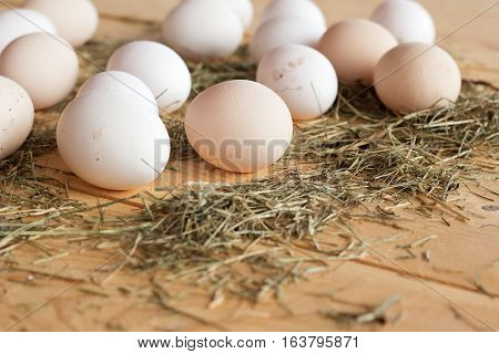 High quality tasty and healthy chicken eggs from domestic hens on wooden mat