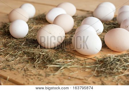 High quality tasty and healthy chicken eggs from domestic hens on wooden mat