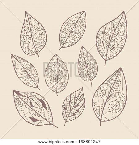 Vector doodle leaves set. Hand drawn artwork.
