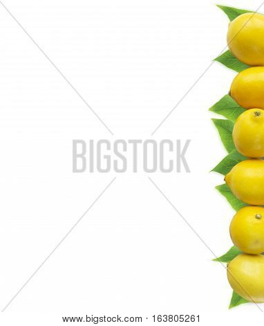 Lemons at border of image with copy space for text. Top view. Ripe lemons close-up on a white background. Background citrus.