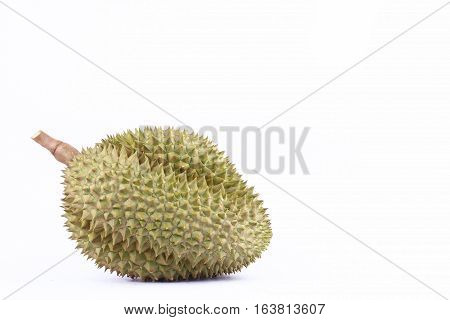 durian  mon thong is king of tropical fruits durian   on white background healthy durian fruit food isolated close up