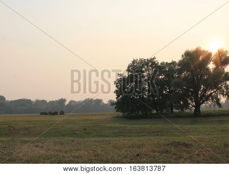 Buitiful evening outdoor with sun shining through trees