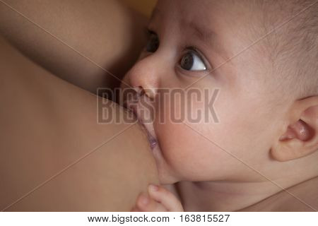 Mother Breastfeeding Her Baby