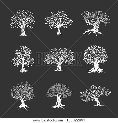 Beautiful magnificent olive and oak trees silhouette isolated on dark background. Web infographic modern vector tree sign. Premium quality illustration logo design concept pictogram set. Ukraine
