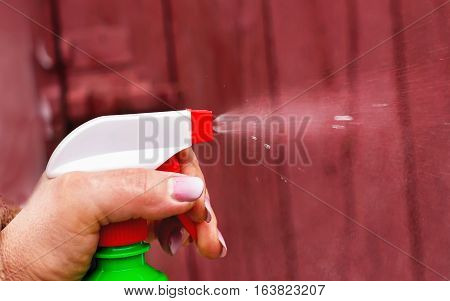 Spraying The Plants In The Garden, With Hand Spray,