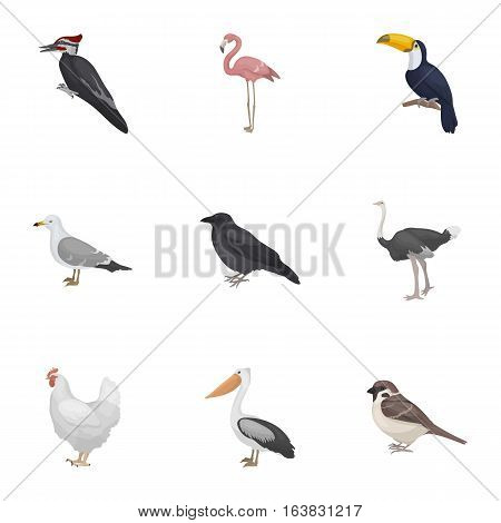 Bird set icons in cartoon style. Big collection of bird vector symbol stock