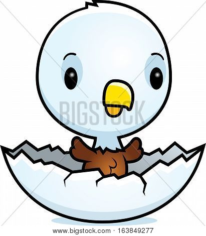 Cartoon Baby Eagle Hatching