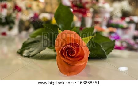 Orange rose bud that is on the table