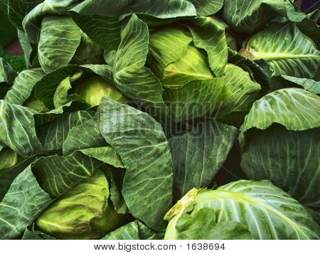 Cabbage2