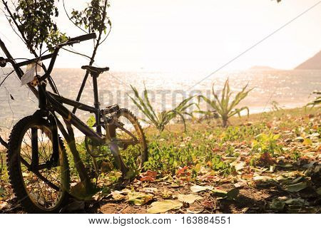 Bicycle on the beautiful beach in thailand.