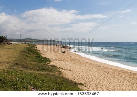Dune Vegetation And Empty Beach Against Blue Ocean Skyline