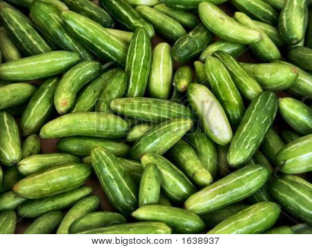 Cucumber1