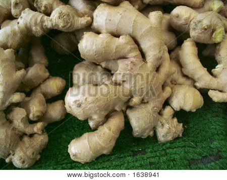 Ginger1