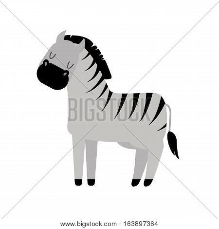 Zebra isolated on white and wildlife animal vector. Funny mammal africa black white zoo nature standing stripe. Savanna fauna symbol wilderness looking burchell.