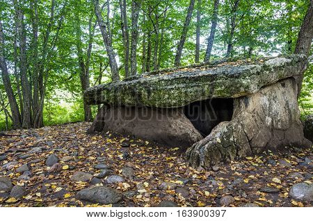 Ancient portal dolmen standing in scenic forest