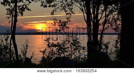 Evening sunset on background silhouette of trees.